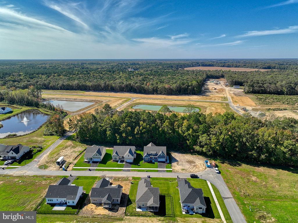 24346 Harvest Cir Property Photo 16