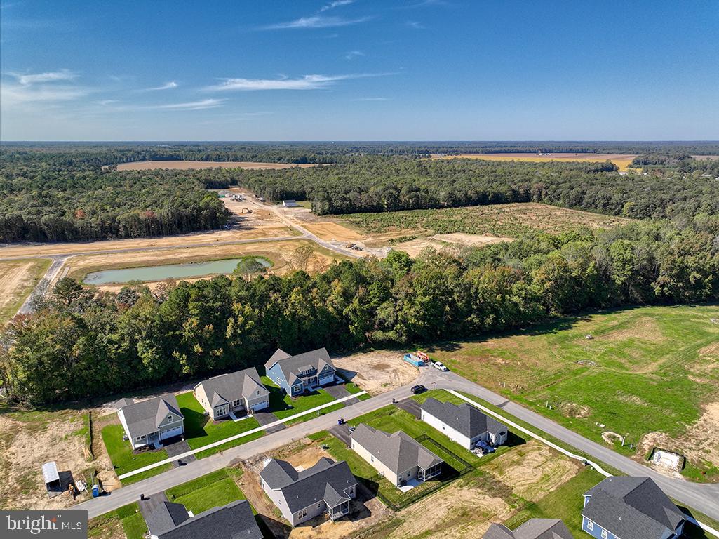 24346 Harvest Cir Property Photo 17