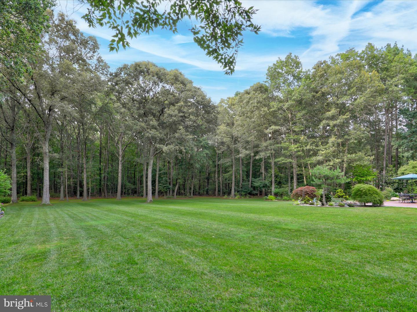 30509 Hollymount Rd Property Photo 54