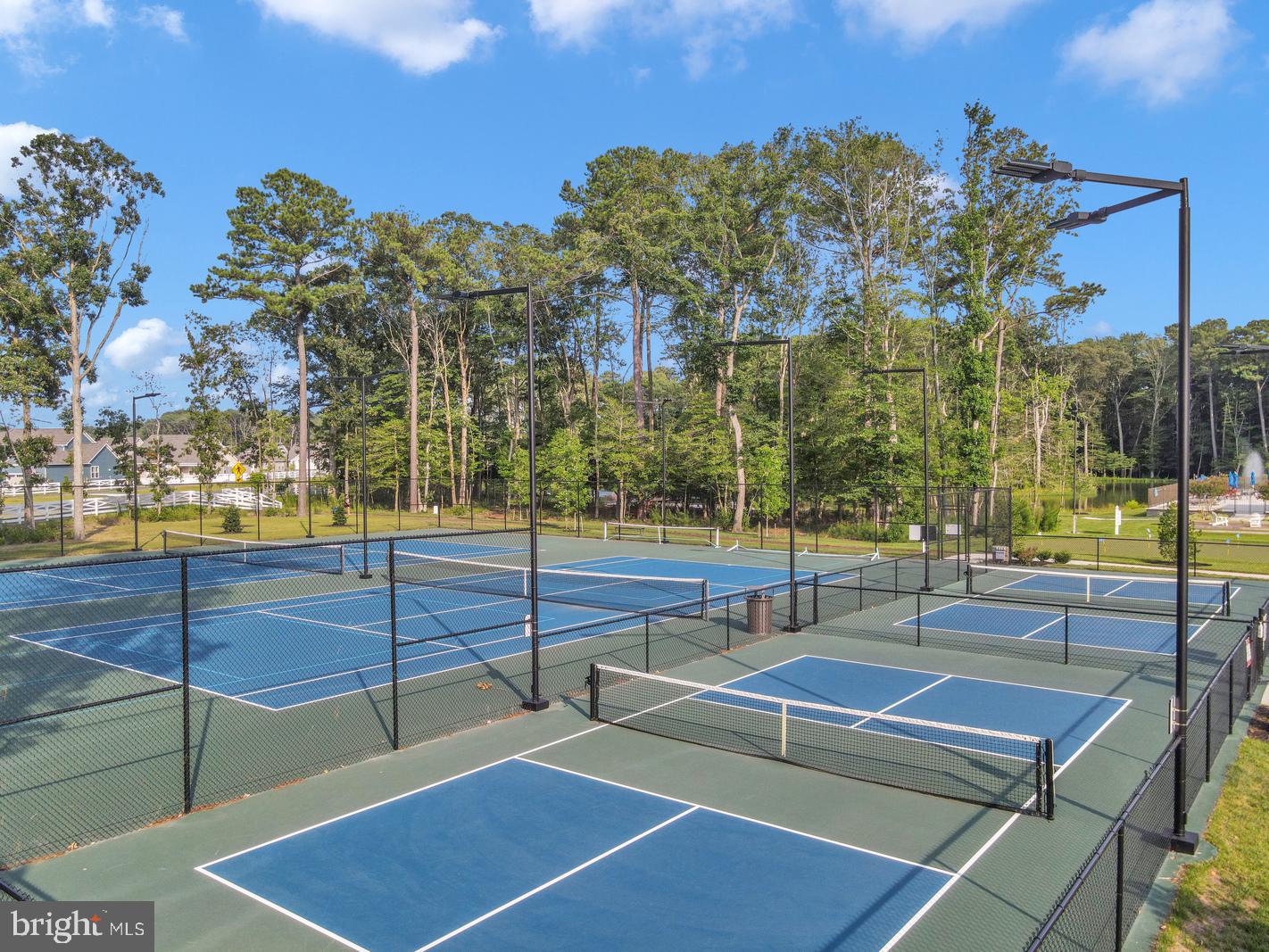 33147 Sea Lions Ct #608 Property Photo 19