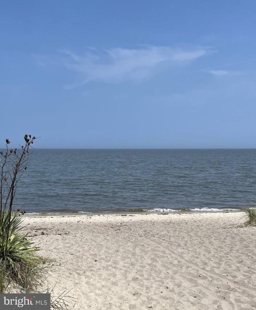 Lot 515 Beach Plum Dr Property Photo 43