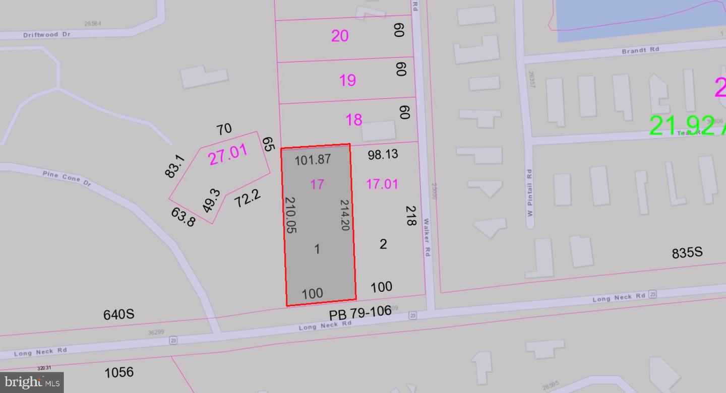 Lot 1 Long Neck Rd Property Photo 11