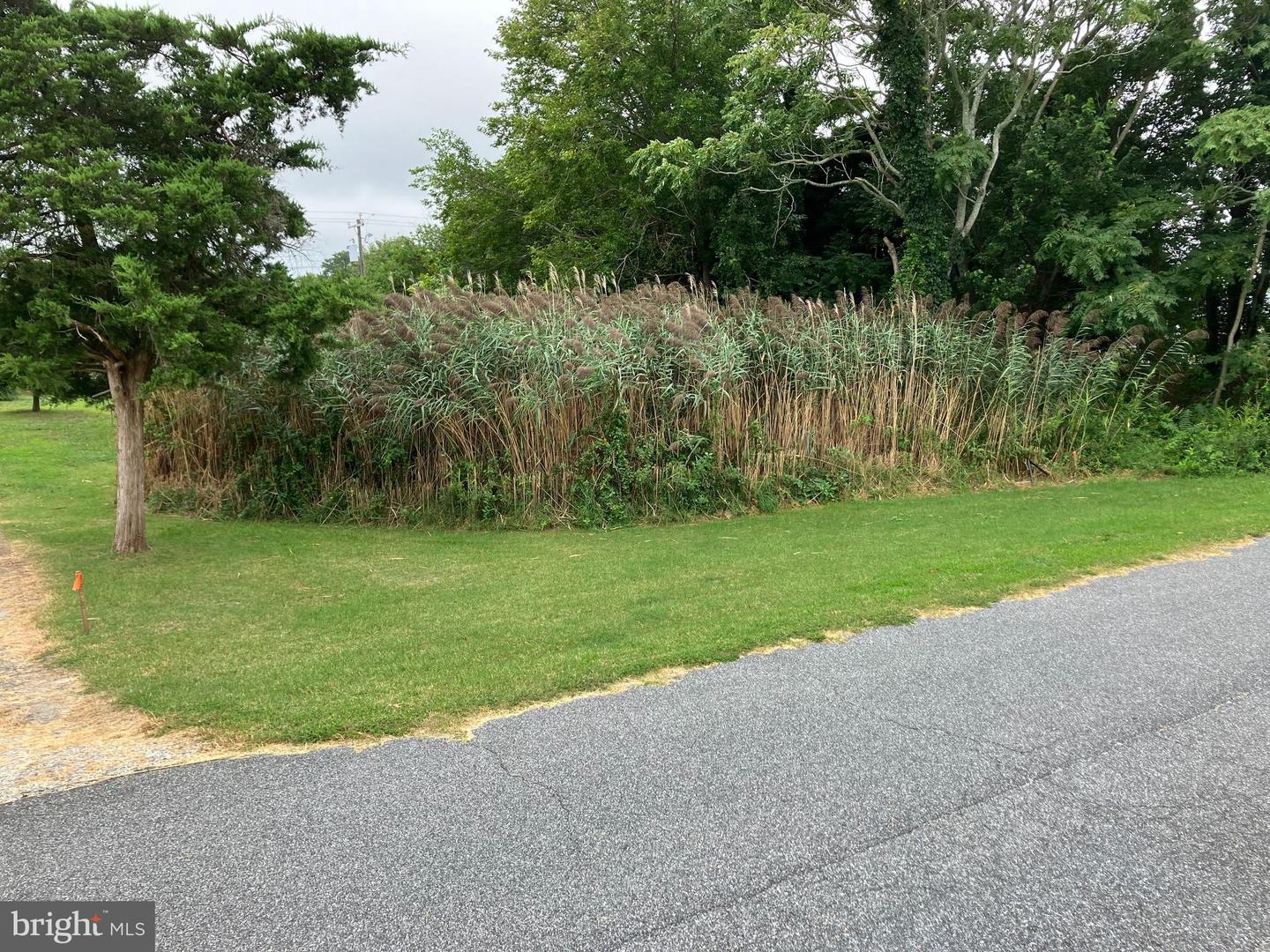 Lot 517 Beach Plum Drive Property Photo 2