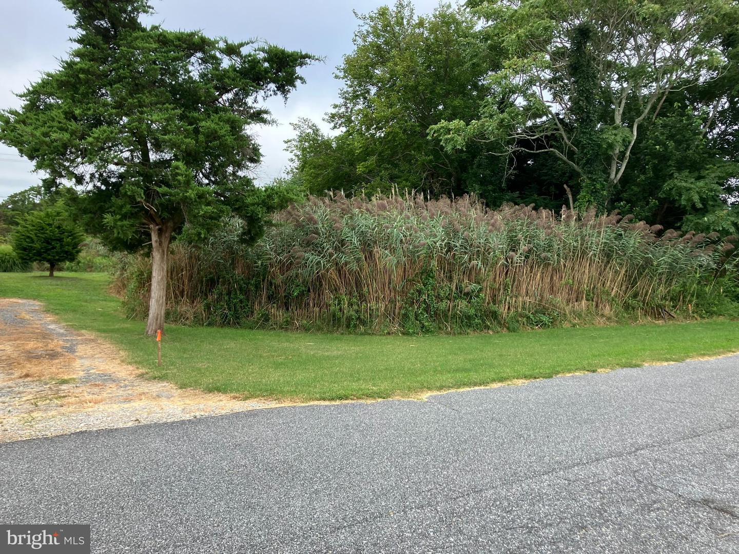 Lot 517 Beach Plum Drive Property Photo 3
