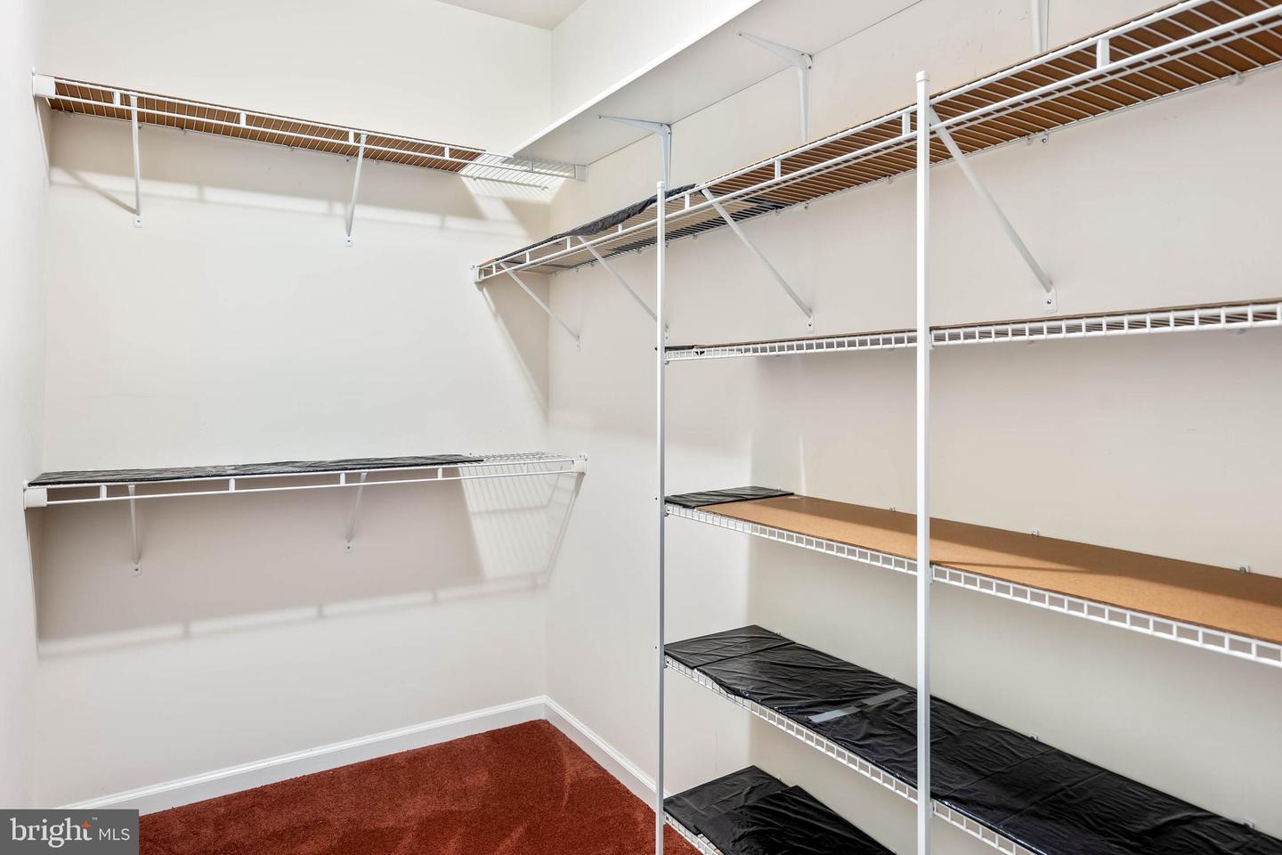 38868 Cedar Waxwing Ln Property Photo 22