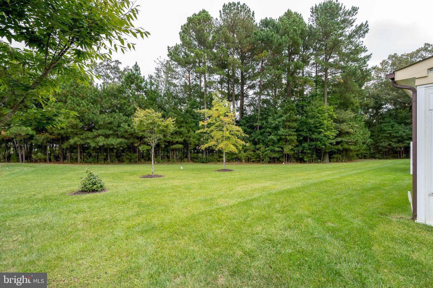 38868 Cedar Waxwing Ln Property Photo 39