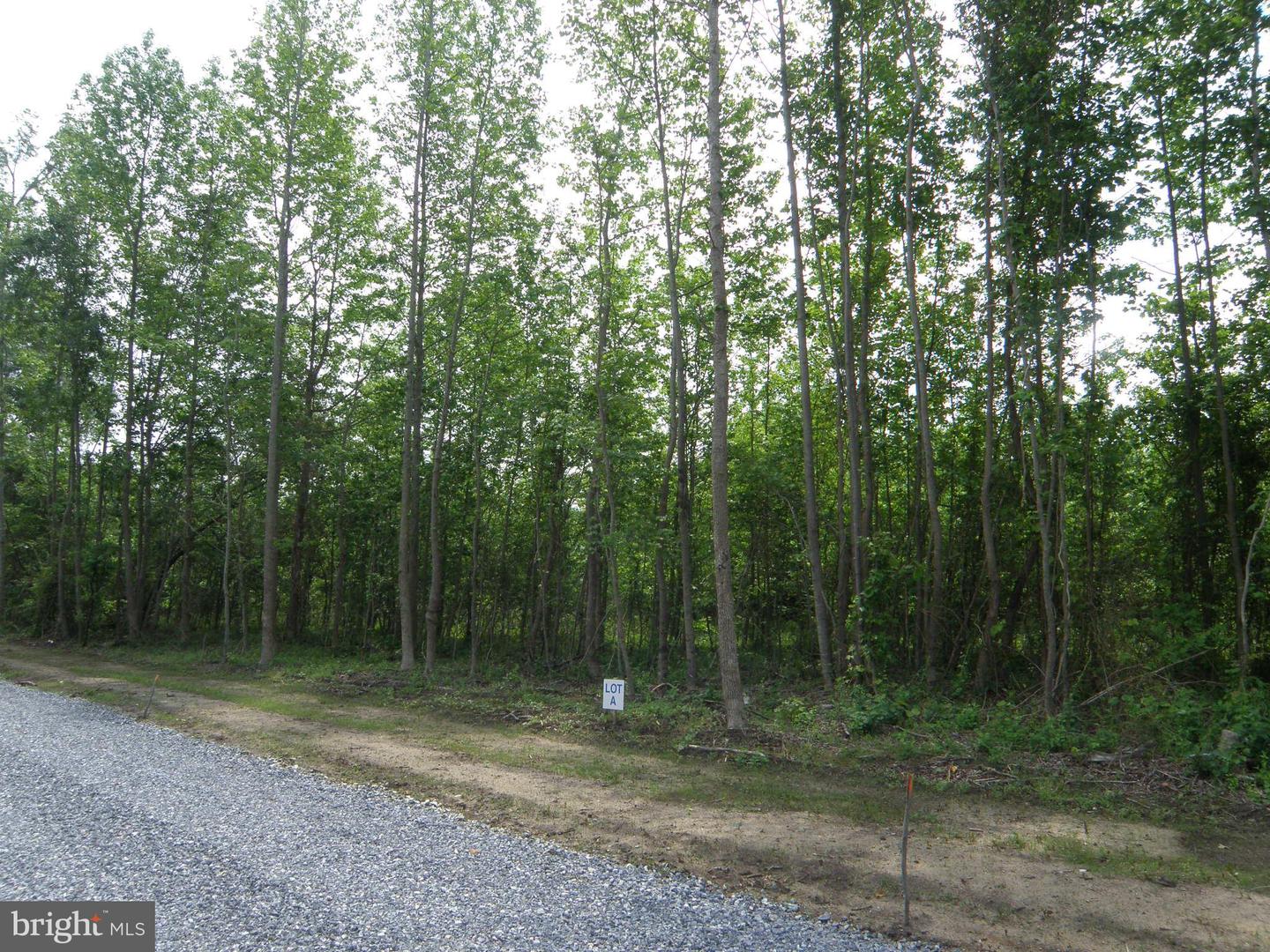 Lot A Shortly Rd Property Photo