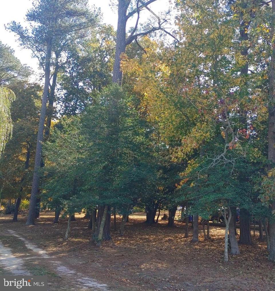 5 Woodland Ave Property Photo 6