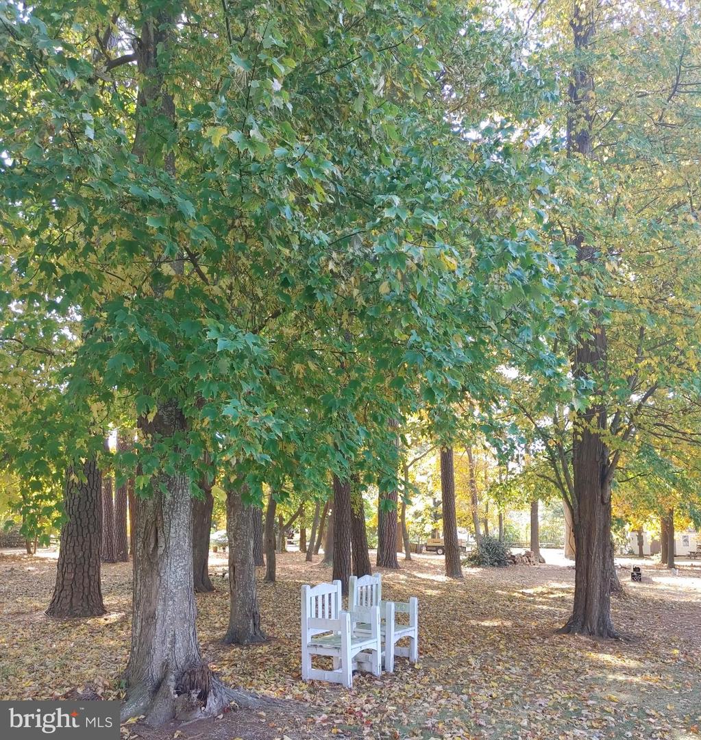 5 Woodland Ave Property Photo 9