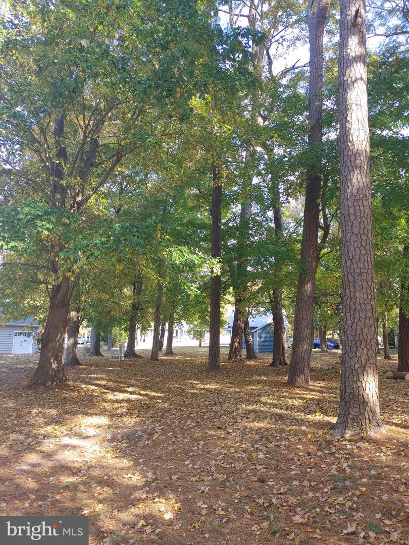 5 Woodland Ave Property Photo 11