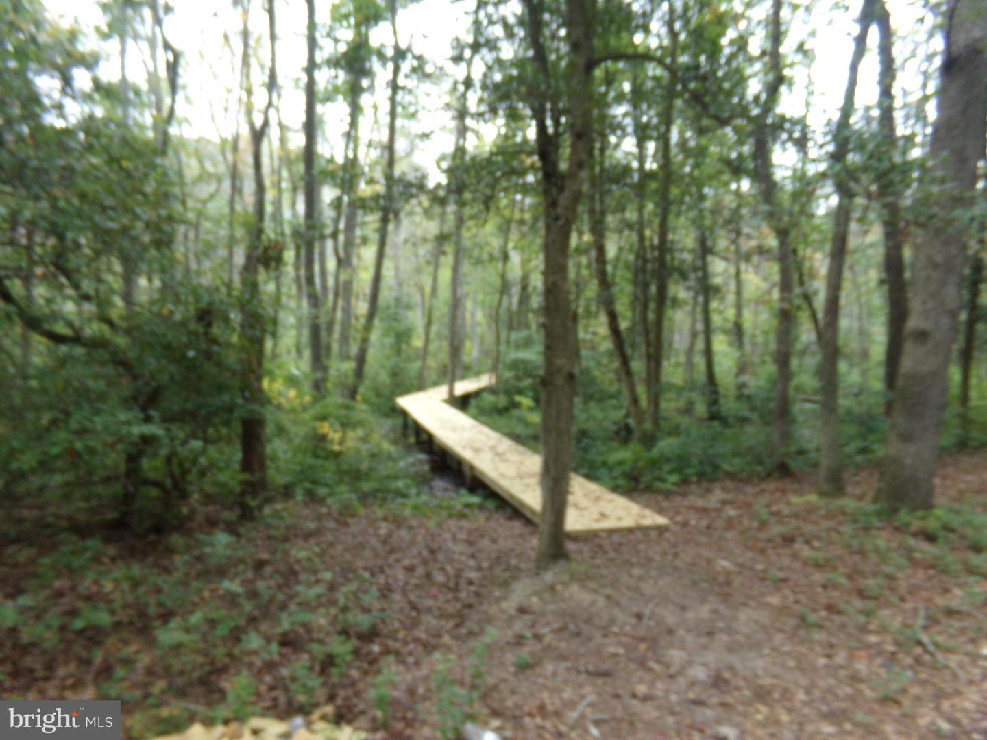 0 Wilkinson Dr Property Photo 2