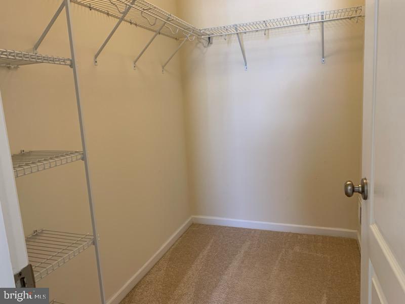 20549 Asheville Dr Property Photo 17