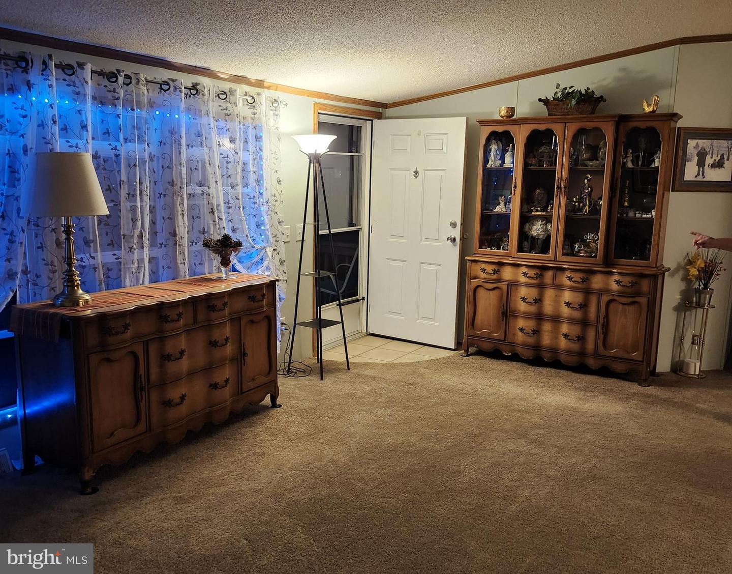 11424 Abbys Way #51189 Property Photo 2