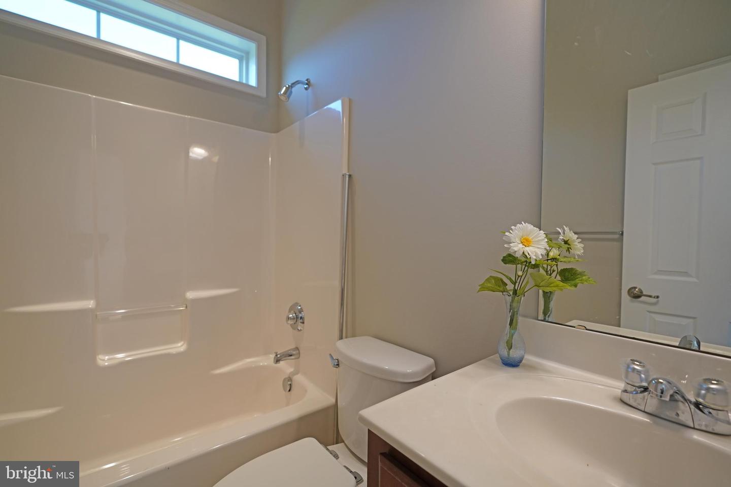 23864 Samuel Adams Cir Property Photo 39