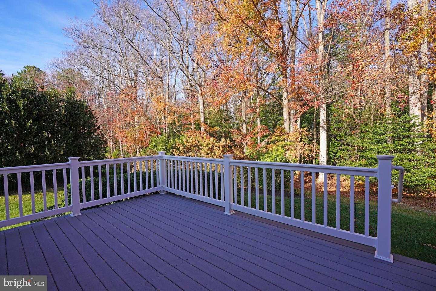 23864 Samuel Adams Cir Property Photo 41