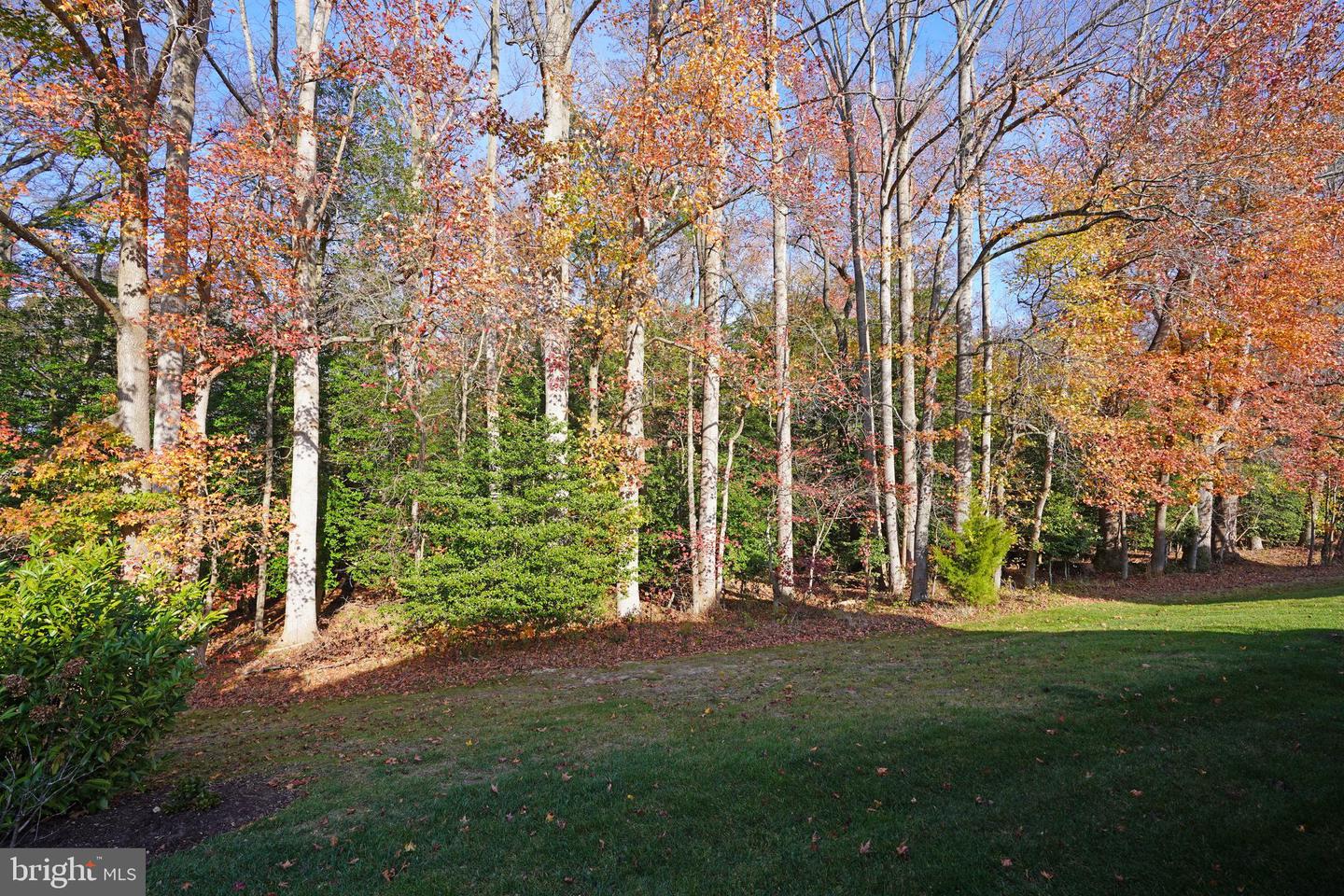 23864 Samuel Adams Cir Property Photo 43