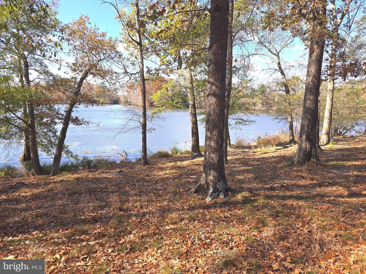 30814 Cypress Ln Property Photo 7
