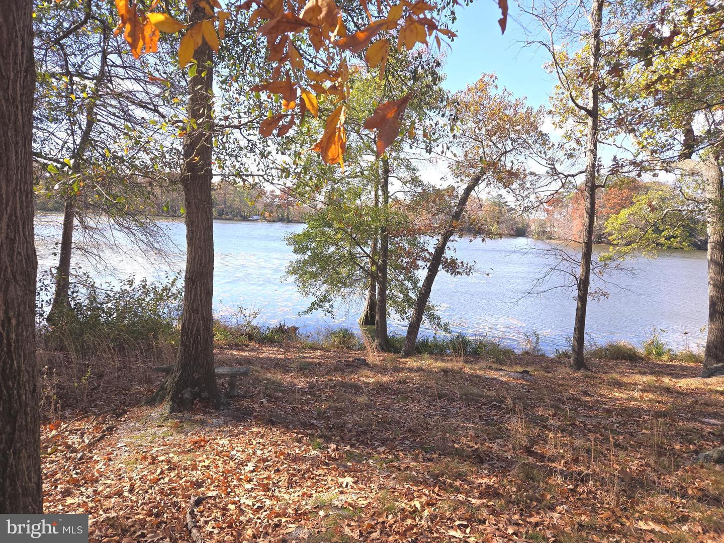 30814 Cypress Ln Property Photo 8