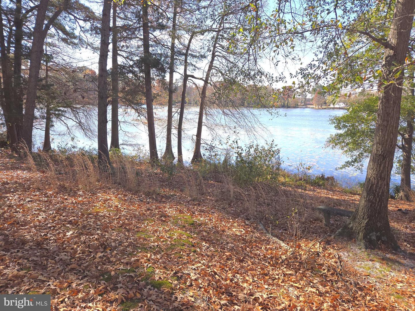 30814 Cypress Ln Property Photo 9
