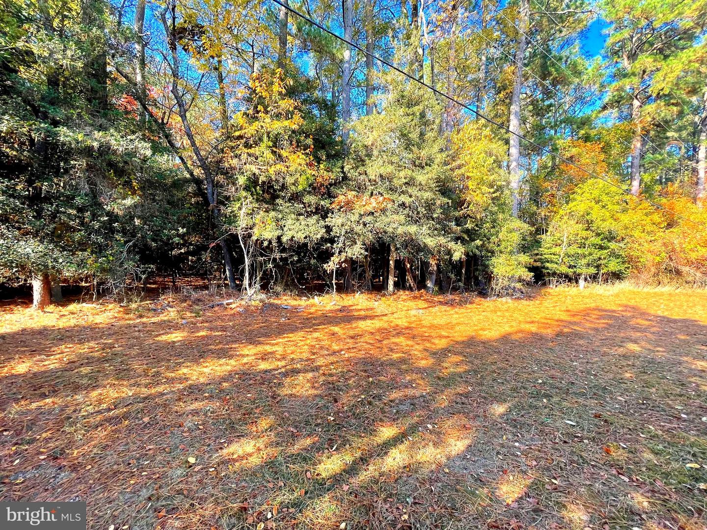 35320 Wood Duck Rd #31367 Property Photo 5