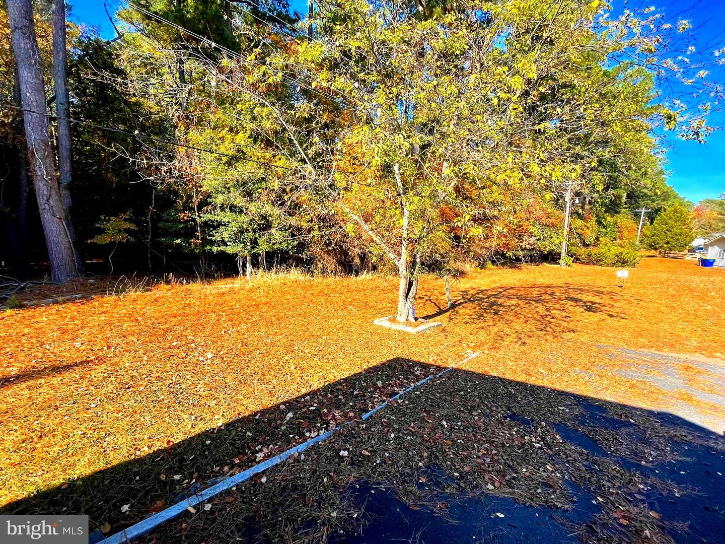 35320 Wood Duck Rd #31367 Property Photo 50