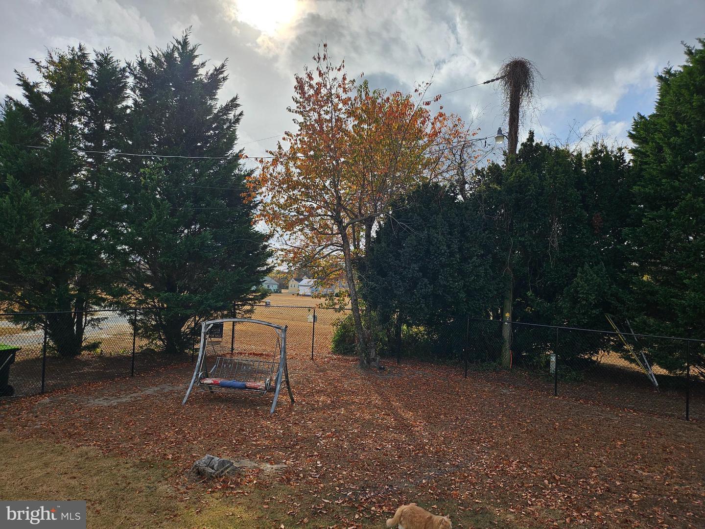 30856 Magenta Ln Property Photo 15