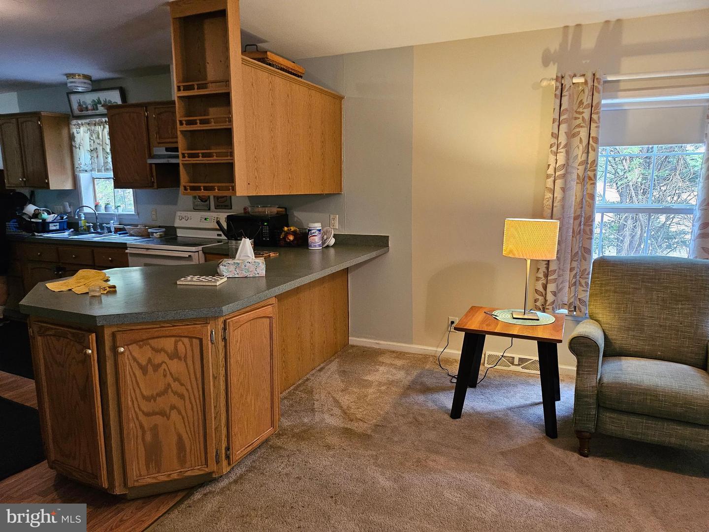 30856 Magenta Ln Property Photo 29