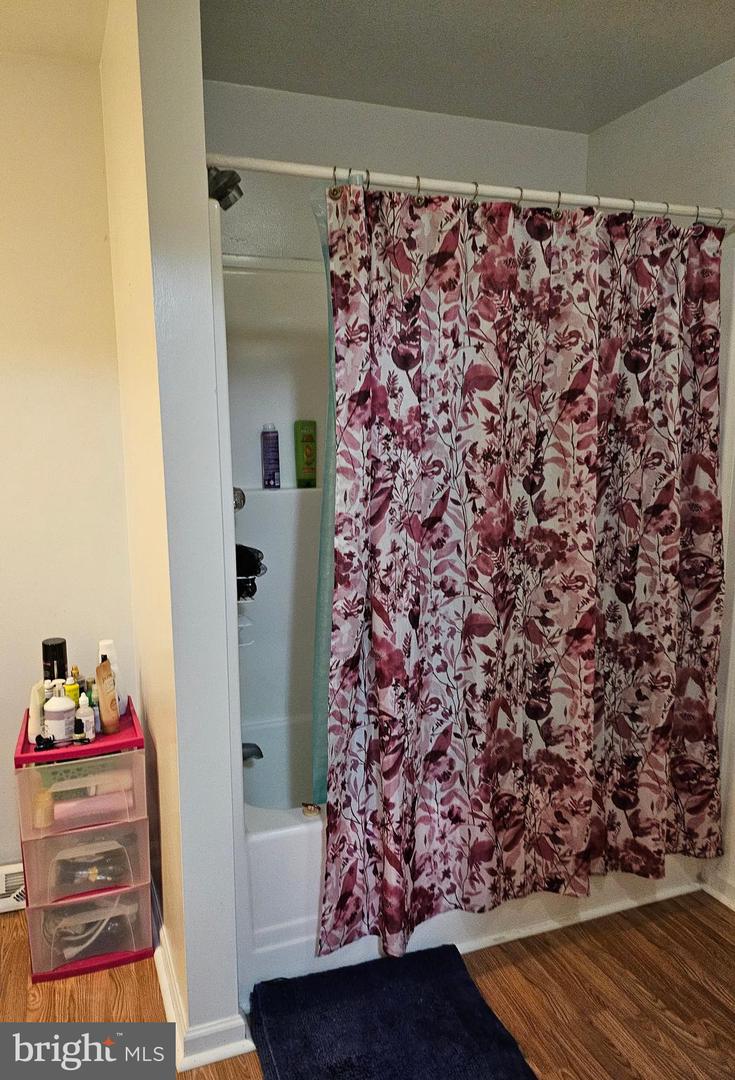 30856 Magenta Ln Property Photo 53