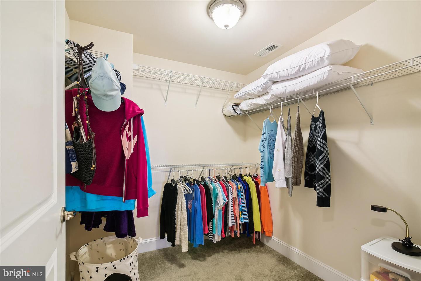 30156 Candleberry Dr Property Photo 23