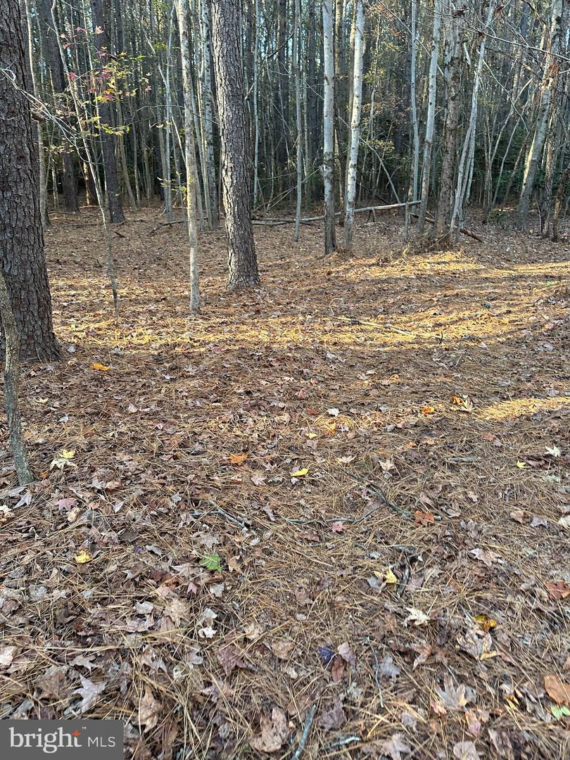Lot 3 Shiloh Church Road Property Photo