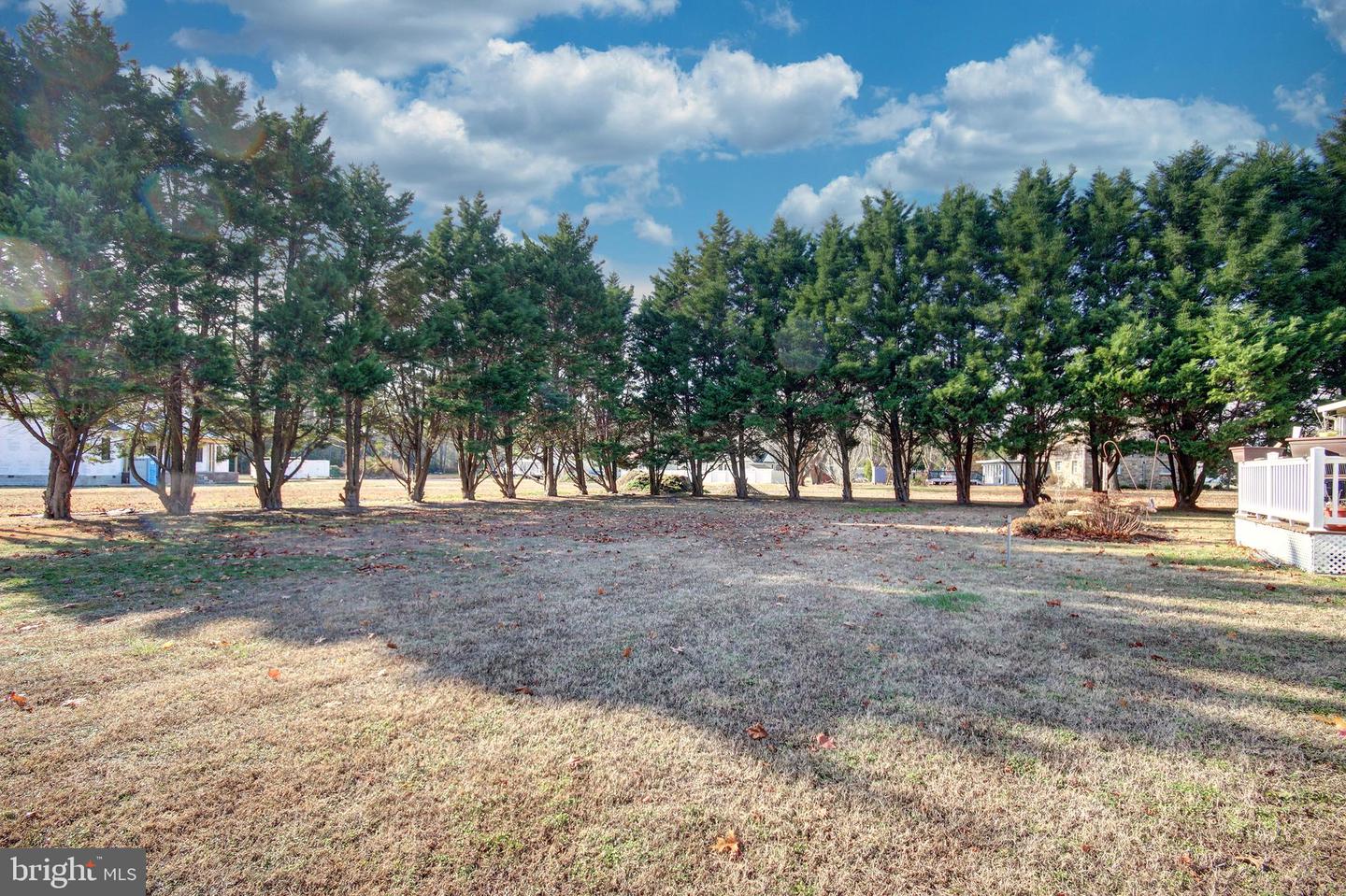 30437 Holts Landing Rd Property Photo 28