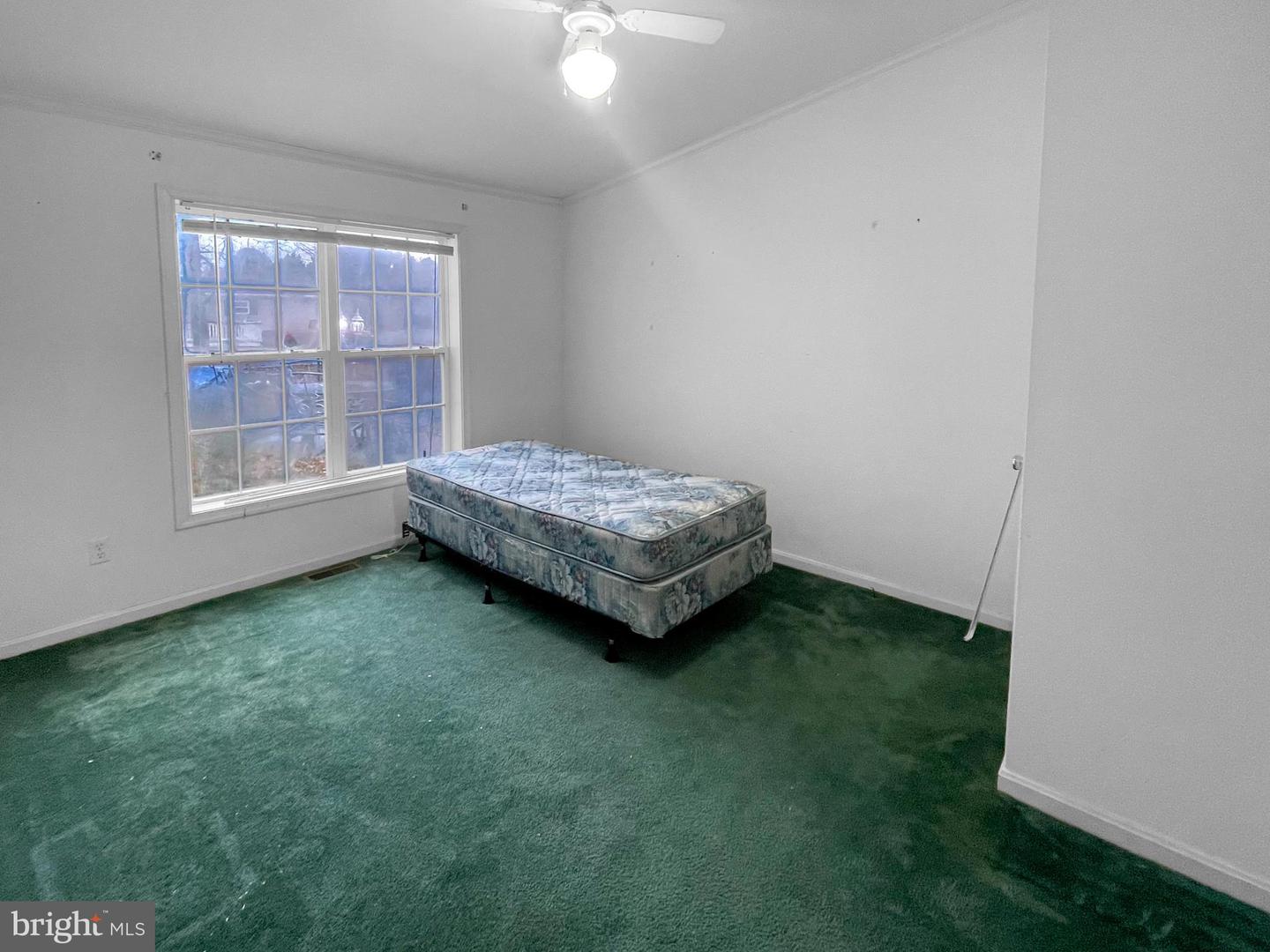 27721 King Charles Dr Property Photo 7