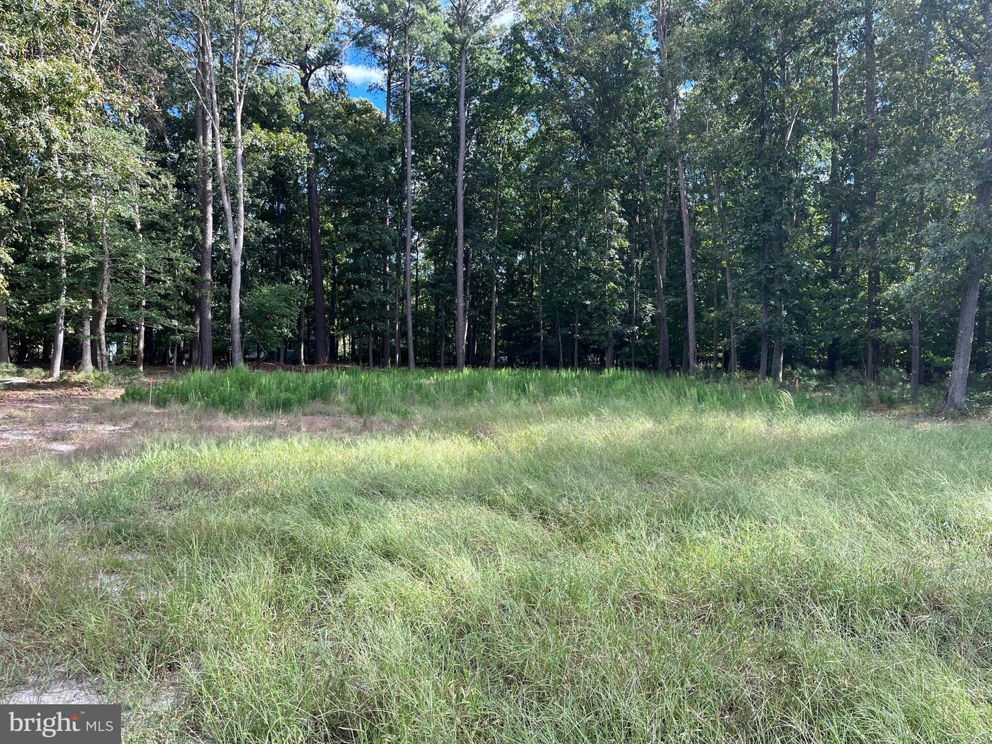Hershel Davis Rd Property Photo 1