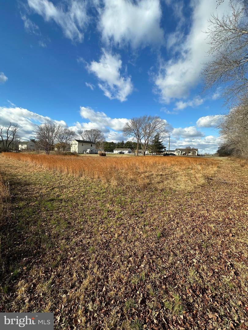 36373 Roxana Rd Property Photo 10