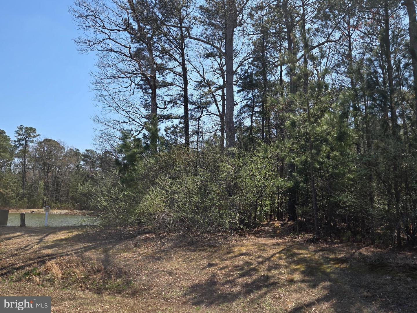 23360 Greenbank Dr Property Photo 34