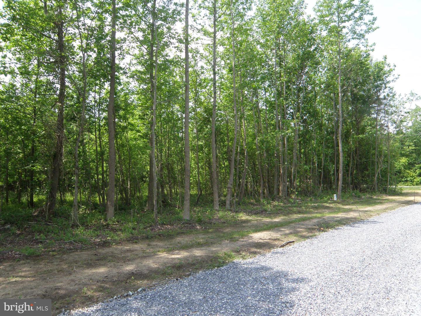 Lot B Easement Off Of Shortly Rd Property Photo 2