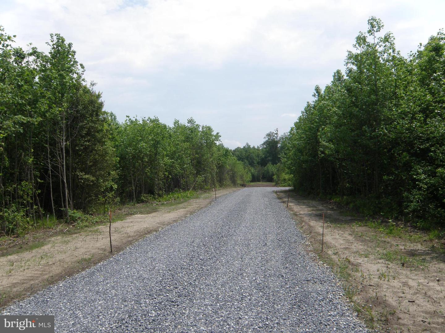 Lot B Easement Off Of Shortly Rd Property Photo 3