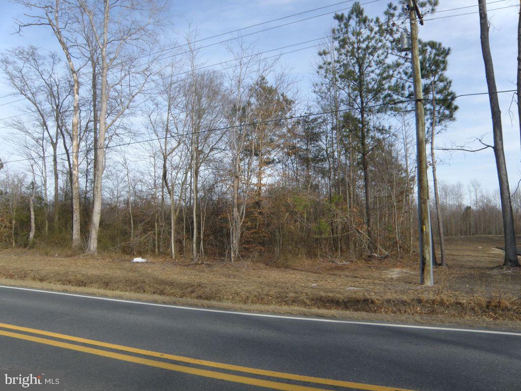 Lot G Shortly Rd Property Photo