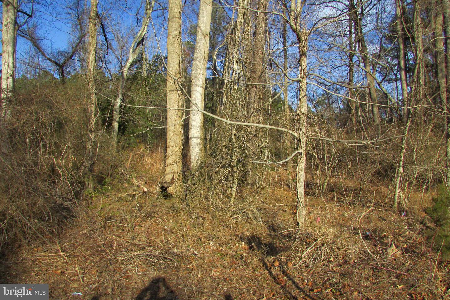 27013 Patriots Way Property Photo 6