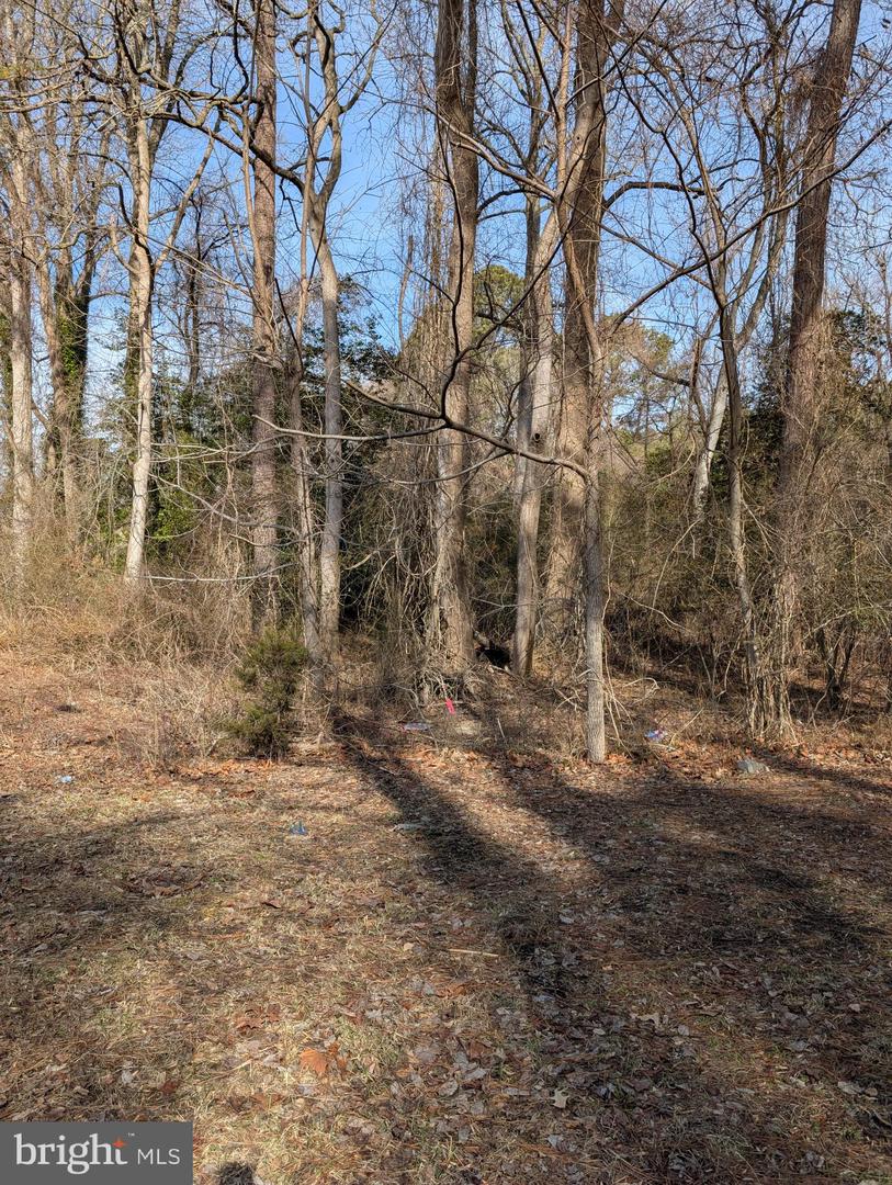 27013 Patriots Way Property Photo 7