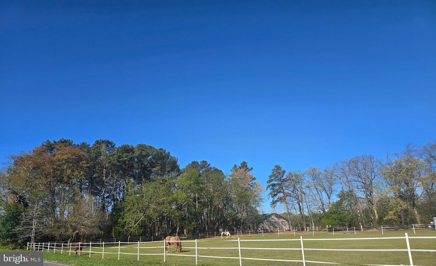 16626 John Rowland Trl #606 Property Photo 54