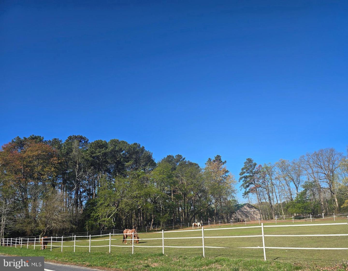16626 John Rowland Trl #606 Property Photo 55