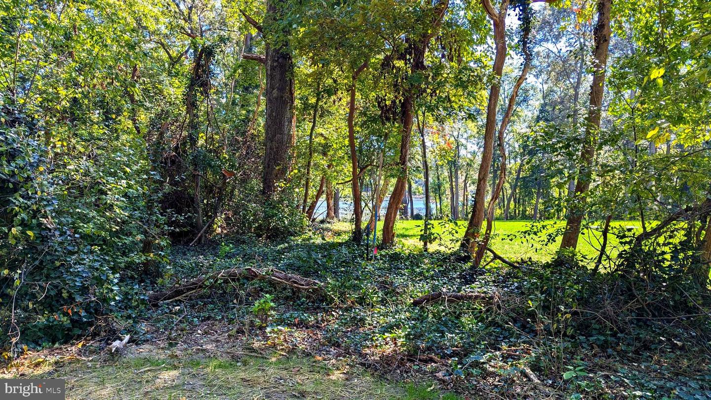 9616 N Shore Dr Property Photo 39