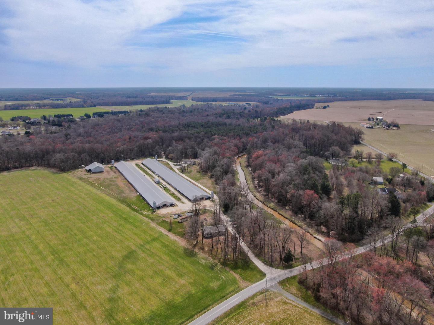 11623 Arics Ally Way Property Photo 4