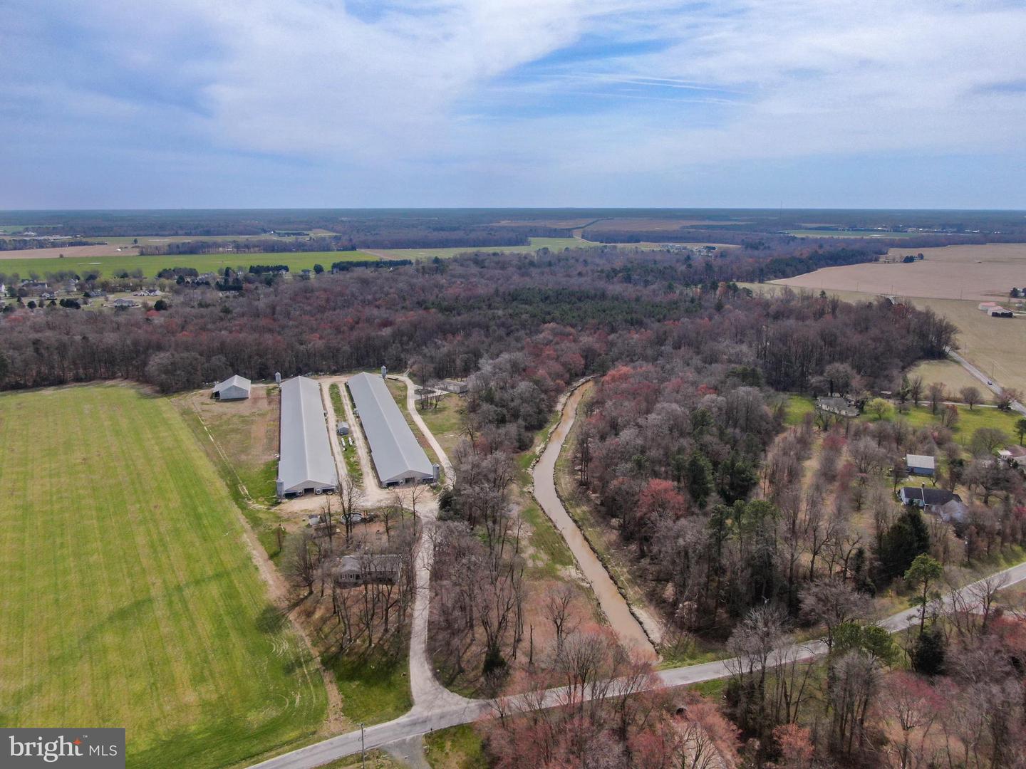 11623 Arics Ally Way Property Photo 5