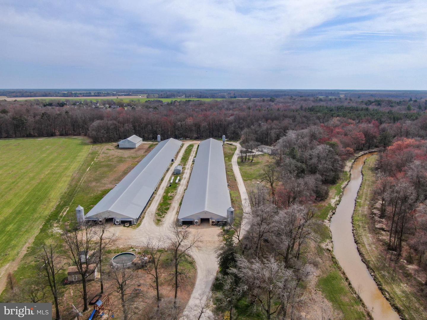 11623 Arics Ally Way Property Photo 6