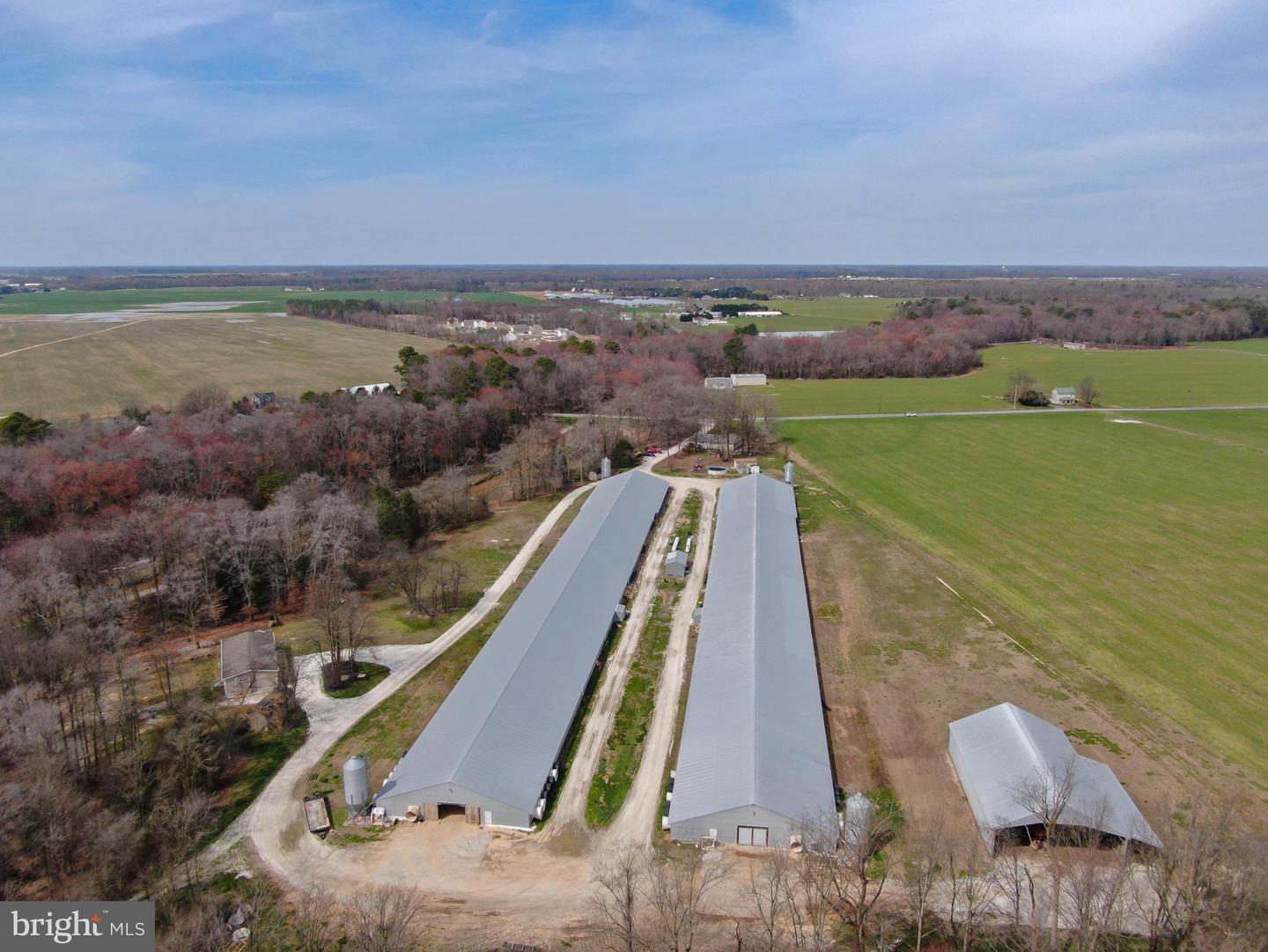 11623 Arics Ally Way Property Photo 7