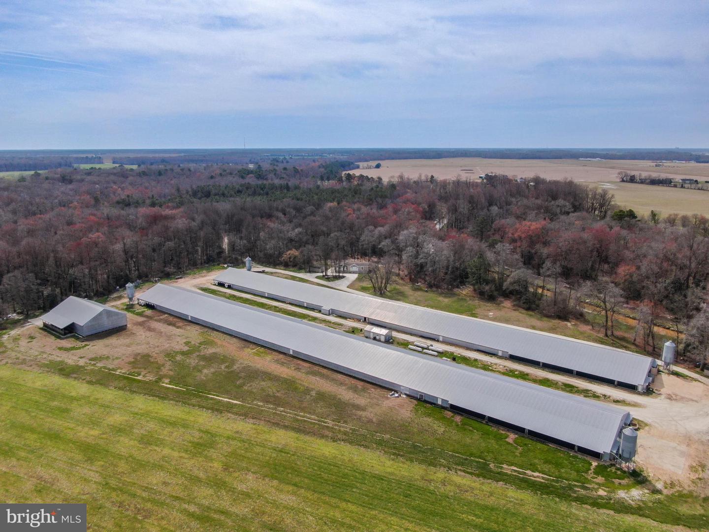 11623 Arics Ally Way Property Photo 8