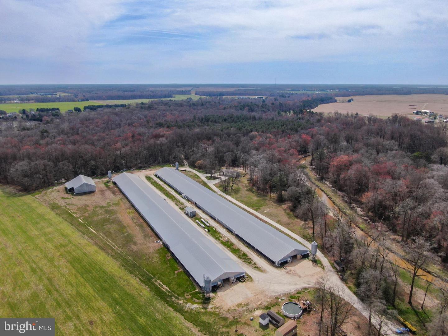 11623 Arics Ally Way Property Photo 9