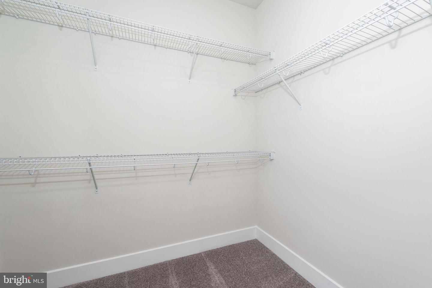 31818 Shad Creek Way Property Photo 14
